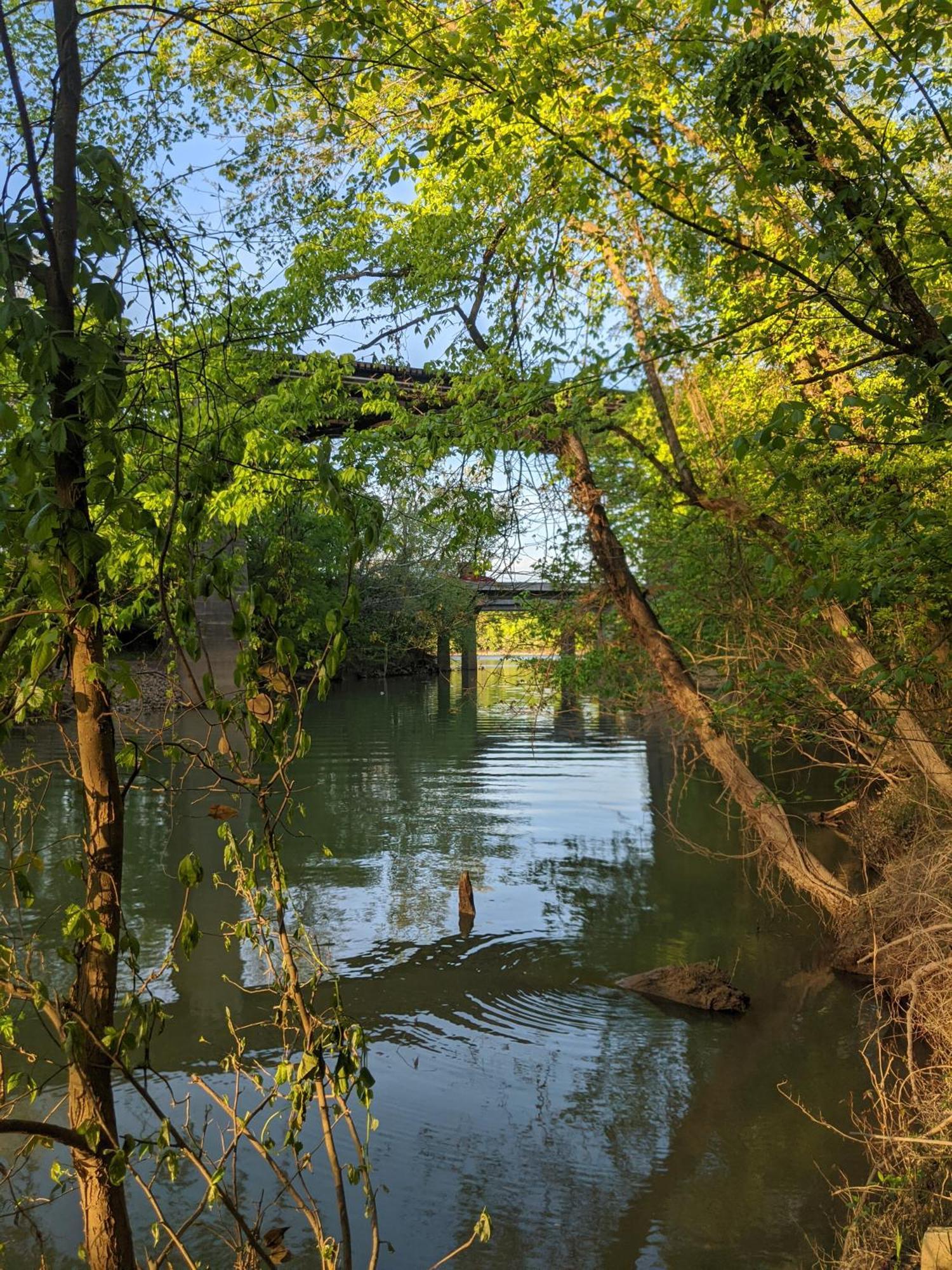 River Cabin Hot Tub & Swim Spa Near Downtown チャタヌーガ エクステリア 写真